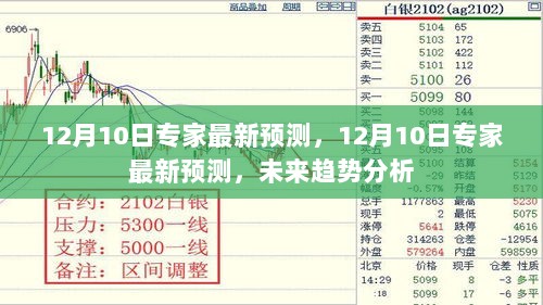 专家最新预测，未来趋势分析（12月10日更新）