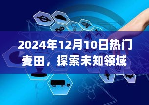 玩转热门麦田，从入门到进阶的未知领域探索指南（2024年12月版）