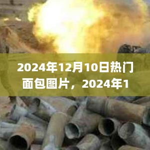 2024年12月11日 第17页