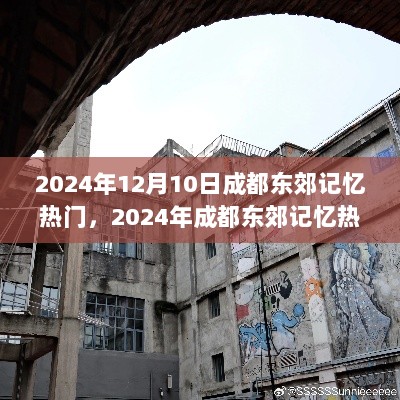 2024年成都东郊记忆热门活动深度评测与介绍