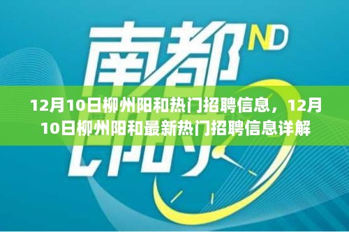 12月10日柳州阳和热门招聘信息全解析