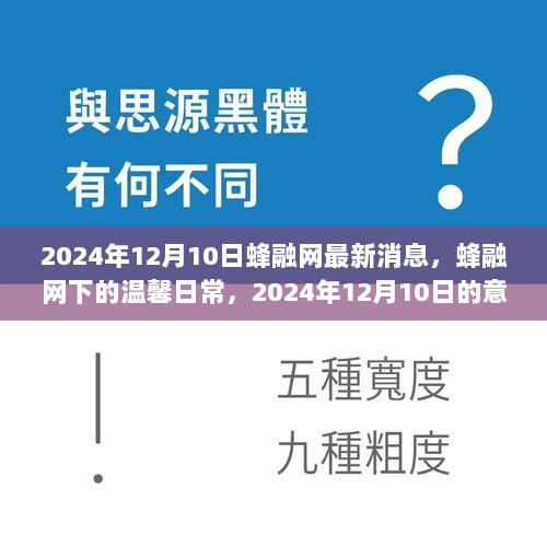 2024年12月11日 第8页