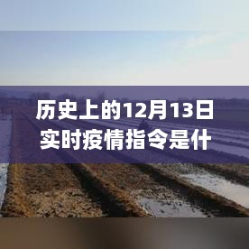 历史上的12月13日实时疫情指令软件解析与深度评测介绍