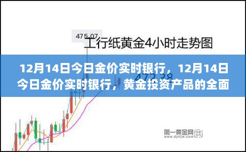 黄金投资指南，今日金价实时银行与黄金投资产品全面评测介绍