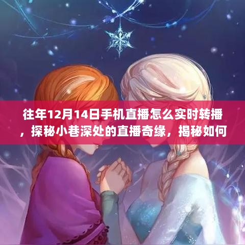 探秘往年12月14日手机直播实时转播技巧，小巷深处的直播奇缘与特色小店风采展示