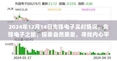 先锋电子实时探索之旅，探寻自然美景与内心平静于2024年12月14日