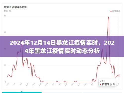 2024年黑龙江疫情实时动态分析与实时更新