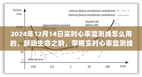 跃动生命之韵，实时心率监测线使用指南，助你自信迎接每一个挑战（2024年12月14日）