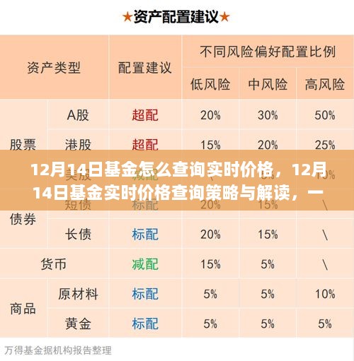 全面解读，12月14日基金实时价格查询策略与查询步骤详解