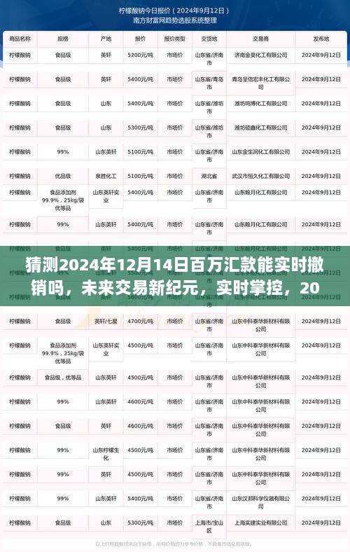 未来交易新纪元，实时掌控百万汇款，揭秘2024年可撤销的高科技新体验