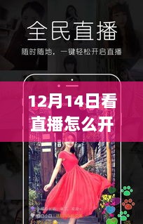 12月14日直播热潮中的实时弹幕互动，开启新纪元