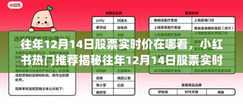 小红书揭秘，如何轻松查看往年12月14日股票实时价，掌握股市动态！