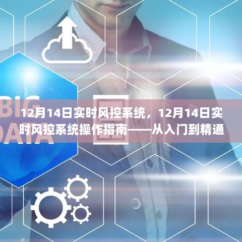 12月14日实时风控系统操作指南，从新手到精通的全面教程