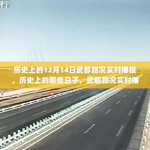 历史上的武都路况实时播报，揭秘十二月十四日的路况变迁之路