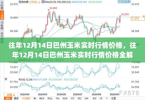 往年12月14日巴州玉米实时行情深度解析，入门、进阶与行情价格概览