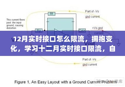 十二月实时接口限流策略，拥抱变化，成就技术巅峰之路