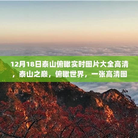 泰山俯瞰实时高清图片，泰山之巅，温暖故事中的世界全景