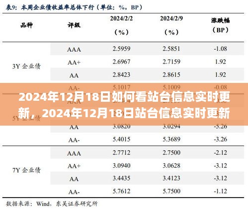 2024年12月18日站台信息实时更新解读与观点探讨