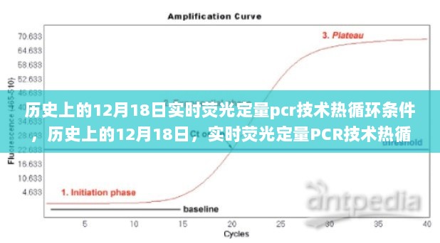 实时荧光定量PCR技术热循环条件的探索之旅，历史上的12月18日回顾与启示