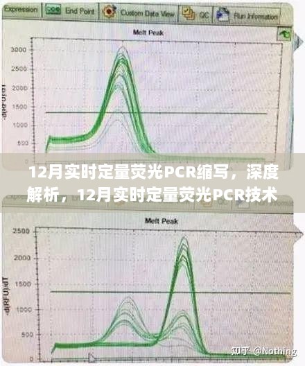 深度解析，12月实时定量荧光PCR技术及其产品应用与评测报告