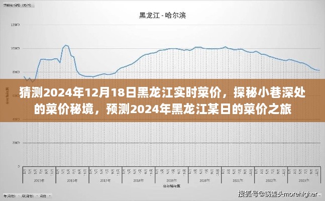 探秘预测之旅，2024年12月18日黑龙江菜价揭秘与预测之旅