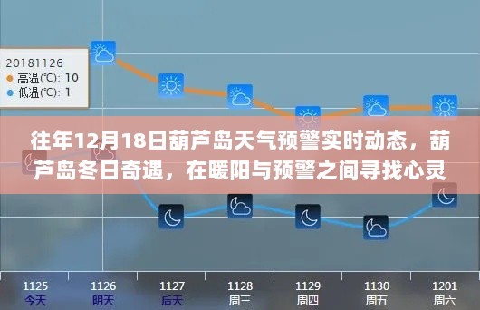 往年12月18日葫芦岛天气预警实时动态，冬日奇遇的心灵避风港