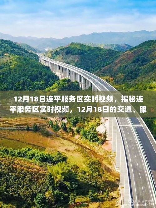 揭秘连平服务区实时视频，12月18日交通服务与体验洞察