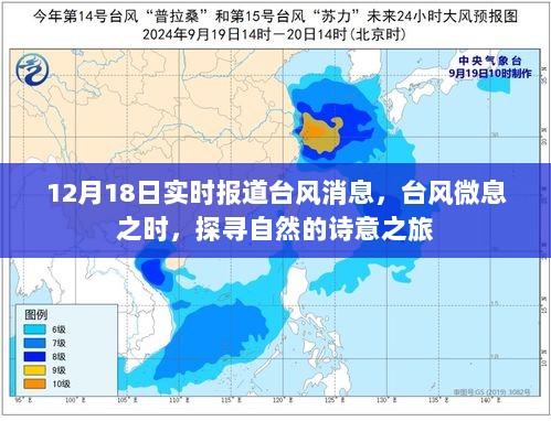 台风微息之际的自然诗意探寻，12月18日实时报道