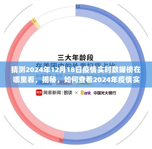 揭秘，如何查看2024年疫情实时数据榜，洞悉防控动态与实时数据榜查看指南