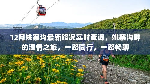 姚寨沟最新路况与温情之旅，一路同行，实时畅聊