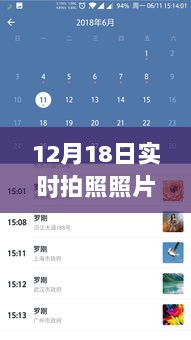 12月18日照片替换打卡，日常趣事中的温暖瞬间