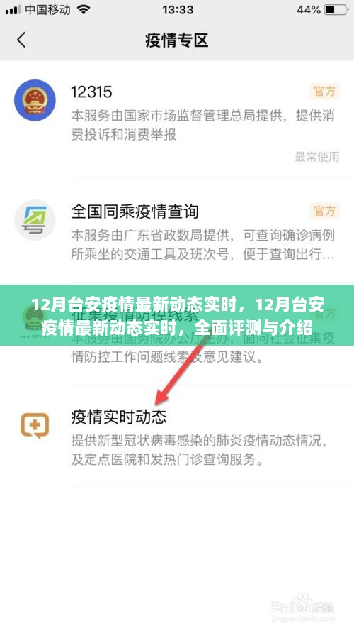 台安疫情最新动态实时更新，全面评测与详细介绍