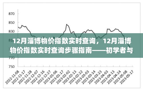 12月淄博物价指数实时查询指南，从初学者到进阶用户一键掌握