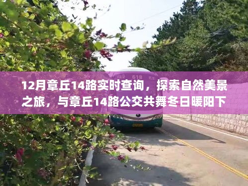 章丘14路公交，冬日暖阳下的自然美景探索之旅实时查询