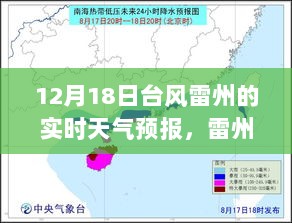 台风雷州，风云变幻中的温馨故事