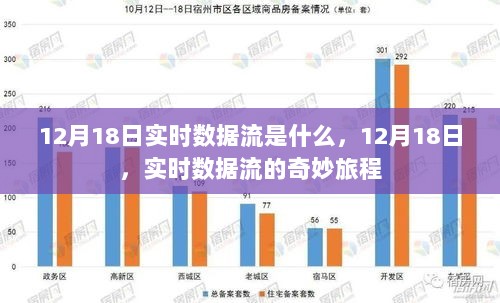 12月18日实时数据流，探索奇妙旅程