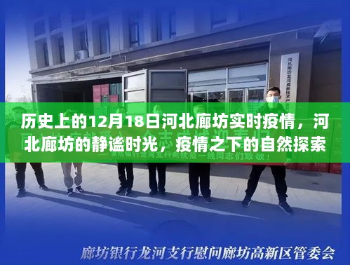 河北廊坊疫情下的静谧时光与实时疫情回顾