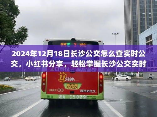 2024年长沙公交实时查询指南，小红书分享，出行无忧！