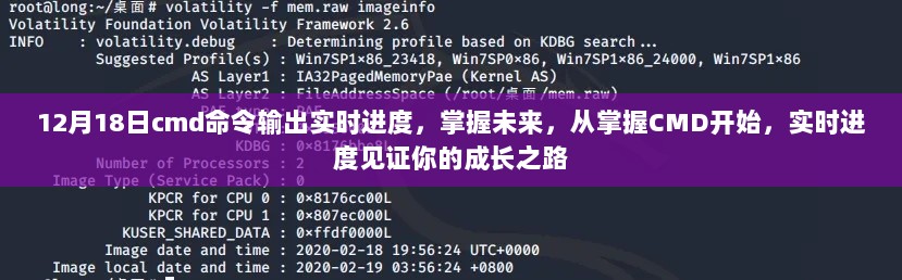 掌握未来从CMD开始，实时进度输出见证成长之路