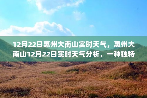 惠州大南山12月22日实时天气分析与独特视角观察