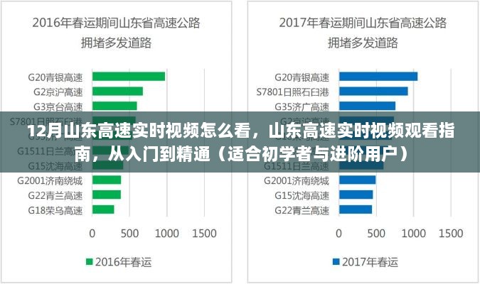 山东高速实时视频观看指南，从入门到精通，初学者与进阶用户必看