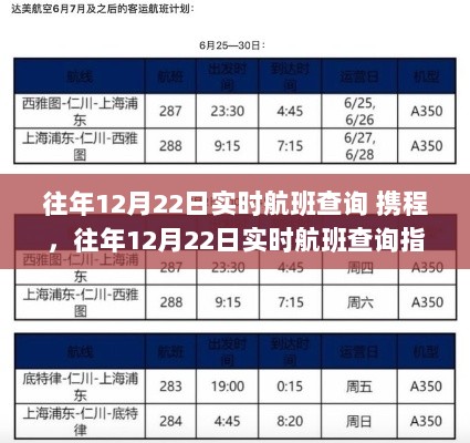 携程APP，往年12月22日实时航班查询指南与轻松预订步骤