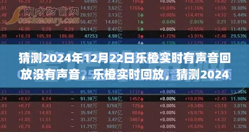 乐橙实时回放功能猜测，2024年12月22日声音故障与回放情况分析