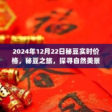 探寻自然美景，秘豆实时价格之旅，重拾内心的宁静与平和（2024年12月22日）