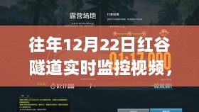 红谷隧道暖心日常，12月22日实时监控记录下的温馨时光