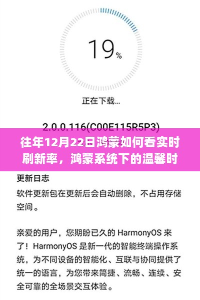 鸿蒙系统下的温馨时光与刷新率奇妙探索之旅，12月22日的鸿蒙实时刷新率体验