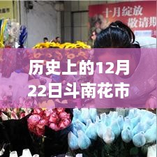 揭秘历史上的斗南花市行情，揭秘斗南花市行情实时动态，12月22日回顾分析