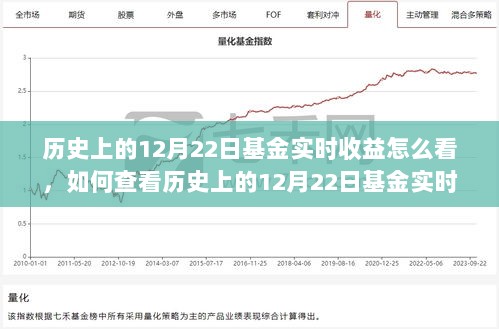 如何查看历史上12月22日基金实时收益，详细步骤解析