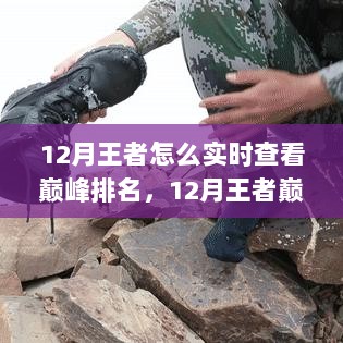 12月王者巅峰排名实时查看攻略，步步为赢，荣耀之巅的追踪与揭秘