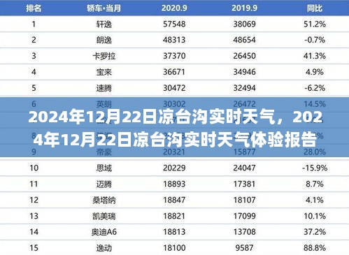 凉台沟实时天气体验报告，揭秘2024年12月22日的天气状况